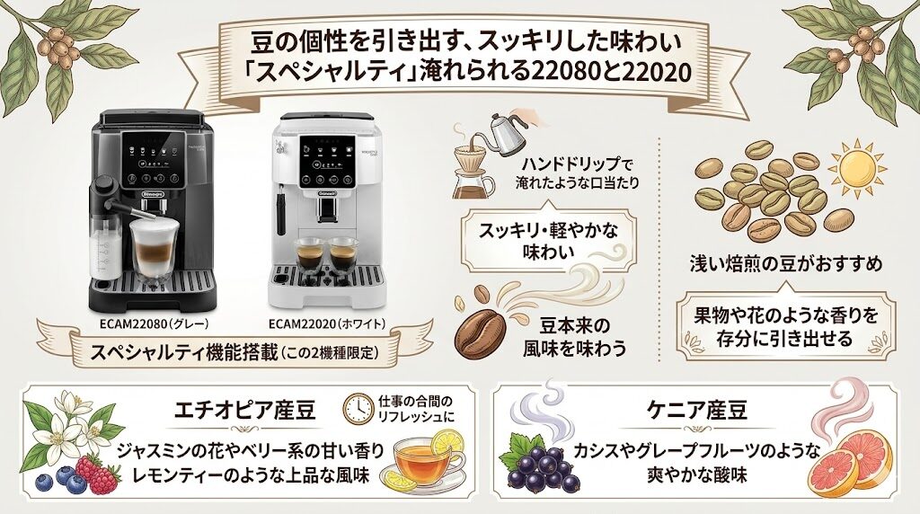 豆の個性を引き出すスッキリした味わいはスペシャルティが淹れられる22080と22020